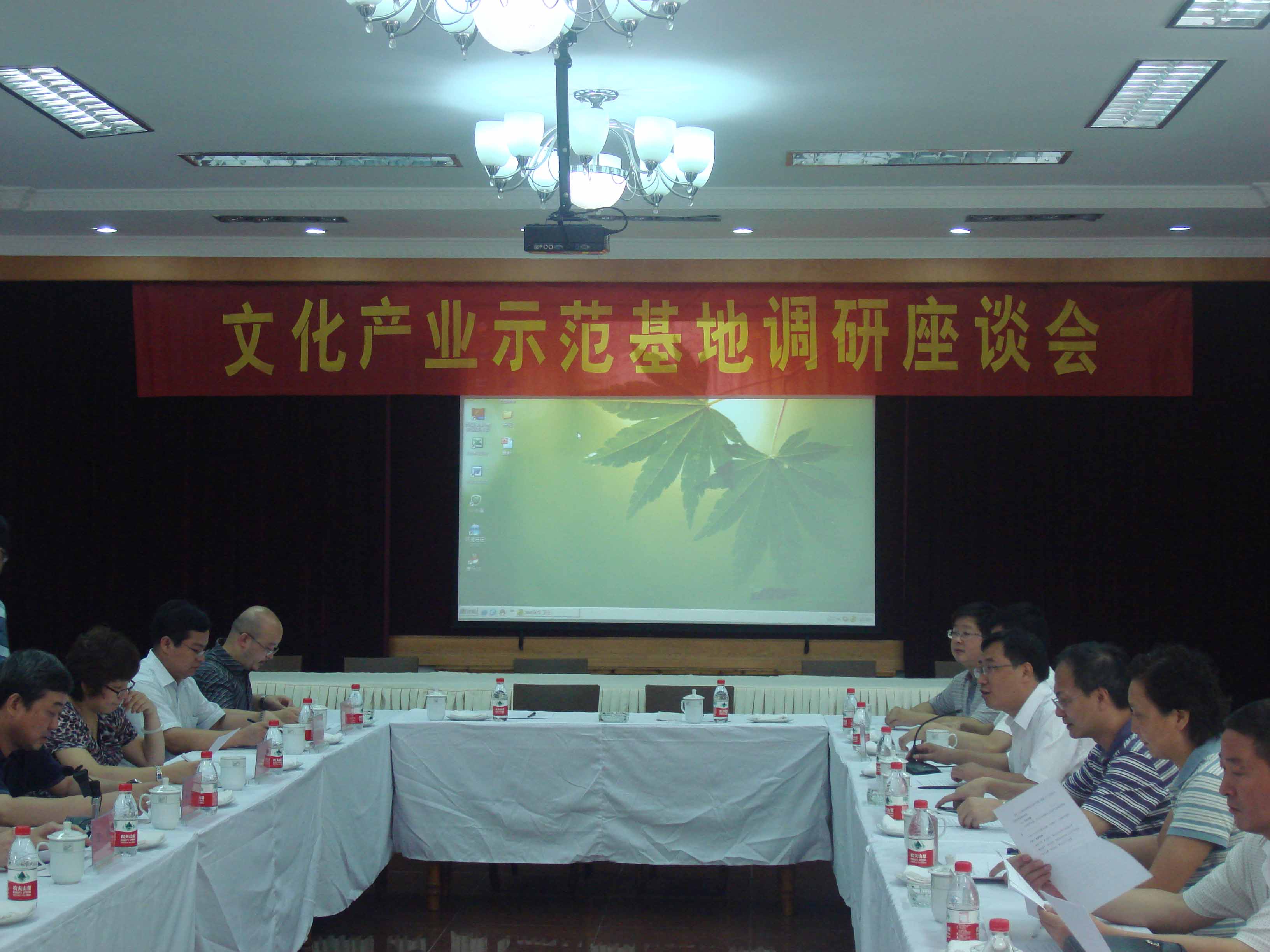 文化部產(chǎn)業(yè)司專家組來(lái)我公司考察調(diào)研
