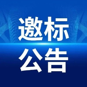 年產(chǎn)6000噸書畫用紙技術(shù)改造項(xiàng)目（一期工程）EPC跟蹤審計(jì)及結(jié)算審核項(xiàng)目招標(biāo)邀請書